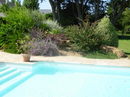 massif autour d'une piscine